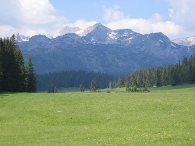 Zemljište 6.056 m² na Macanskoj poljani, Žabljak