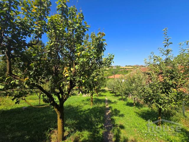 SREMSKA KAMENICA - SREMSKA KAMENICA - 64.00 m2
