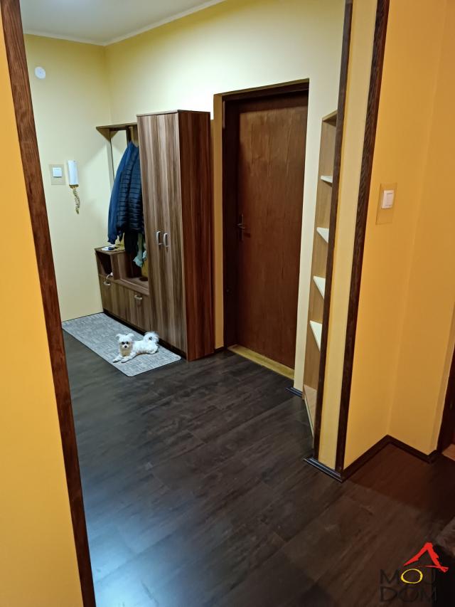 NOVI SAD - JUGOVIĆEVO - DVOIPOSOBAN STAN - 64 m2 - 159,650€