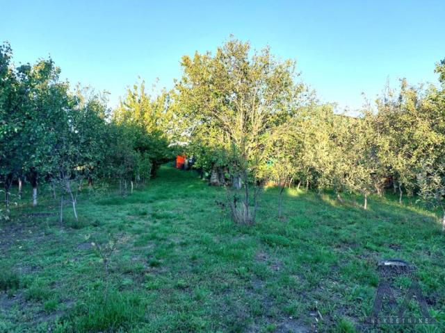 Kać - na prodaju trosobna kuća od 114m2 i hala od 230 m2 na velikom placu od 3952m2. 
Nalazi se na p