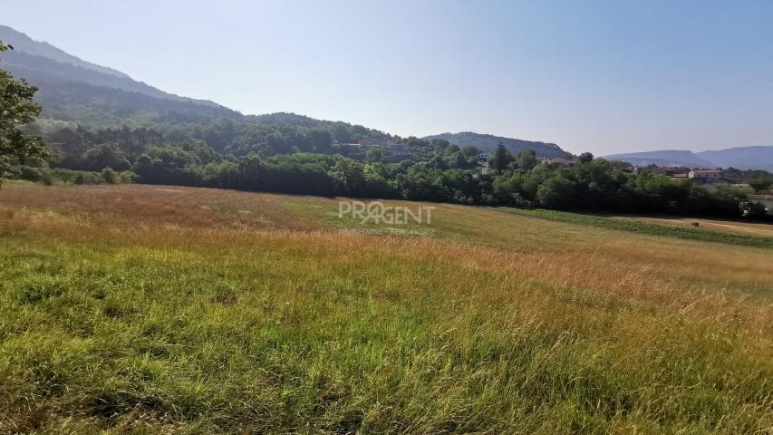 ISTRA, BUZET, KAMENA KUĆA I 2,5 ha ZEMLJIŠTA, PRODAJE SE