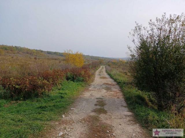 Čukarica, Umka, Staro selo, Đure Daničića, 109a