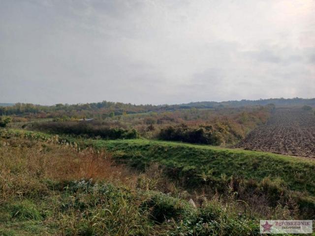 Čukarica, Umka, Staro selo, Đure Daničića, 109a