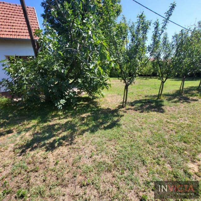 Manja vikendica na prelepoj parceli-Čortanovci