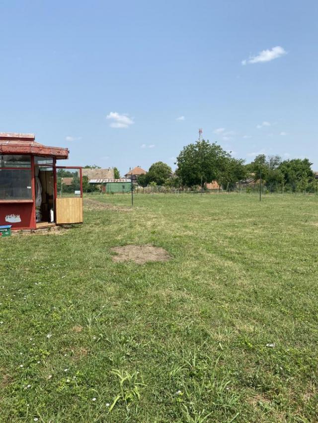 Crepaja građevinski plac na prodaju