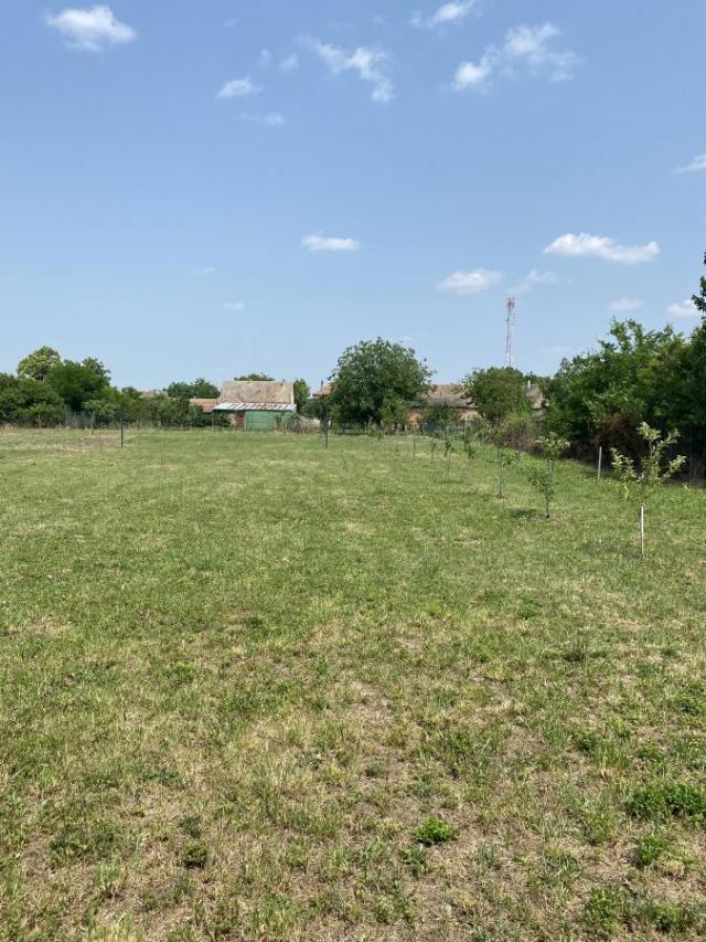 Crepaja građevinski plac na prodaju