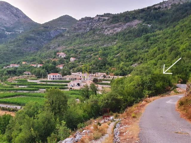 PRODAJA – PLAC I ŠUMA U DOBRSKOM SELU, CETINJE