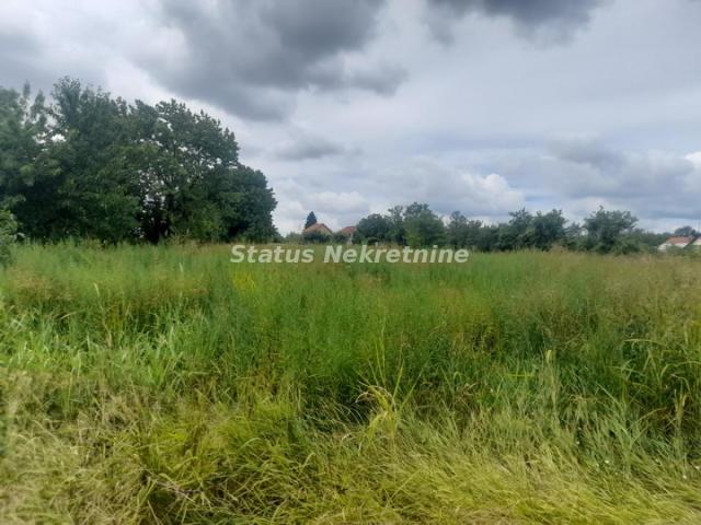 Banstol-Veeliki Ravan Građevinski Plac 7000 m2 u Zelenom kraju-065/385 8880