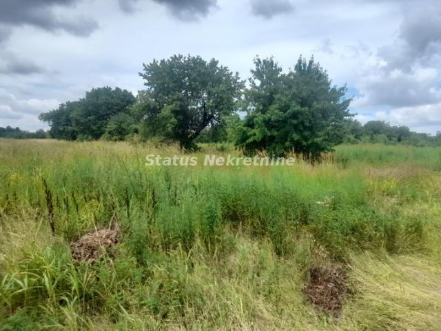 Banstol-Veeliki Ravan Građevinski Plac 7000 m2 u Zelenom kraju-065/385 8880