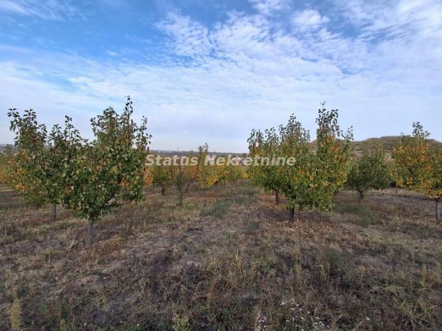 Beočin-Velika Parcela 7500m2 iznad Centra sa Pogledom na Novi Sad-065/385 8880