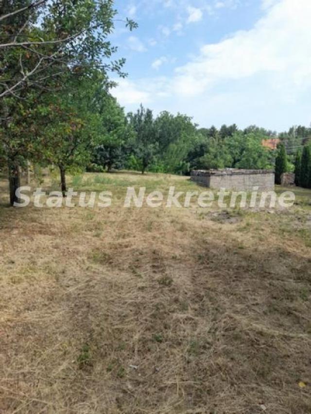 Čortanovci-Uknjižen Građevinski Plac 1100 m2 sa Vinogradom za Uživanje-065/385 8880