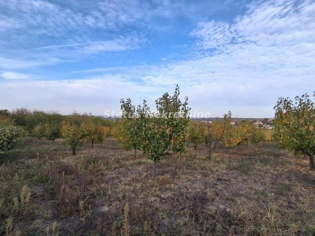 Beočin-Velika Parcela 7500m2 iznad Centra sa Pogledom na Novi Sad-065/385 8880