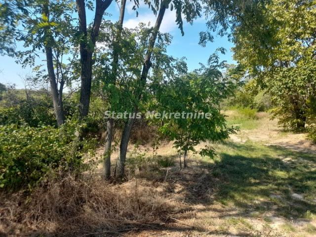 Slankamenački Vinogradi-Povoljno-Uknjižen Plac 1460 m2 sa Pogledom na Dunav - 065 385 8880