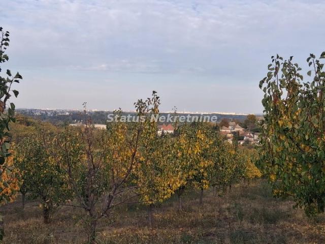 Beočin-Velika Parcela 7500m2 iznad Centra sa Pogledom na Novi Sad-065/385 8880
