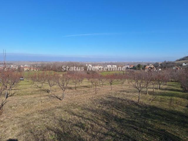 Beočin-Velika Parcela 7500m2 iznad Centra sa Pogledom na Novi Sad-065/385 8880