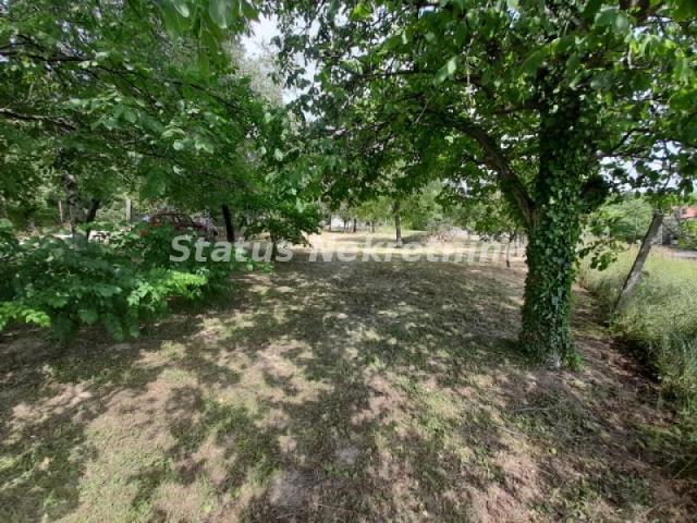 Čortanovci-Uknjižen Građevinski Plac 1100 m2 sa Vinogradom za Uživanje-065/385 8880