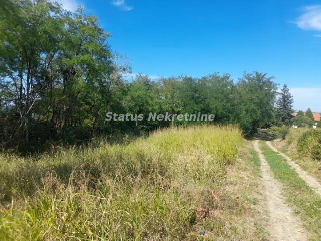 Slankamenački Vinogradi-Povoljno-Uknjižen Plac 1460 m2 sa Pogledom na Dunav - 065 385 8880