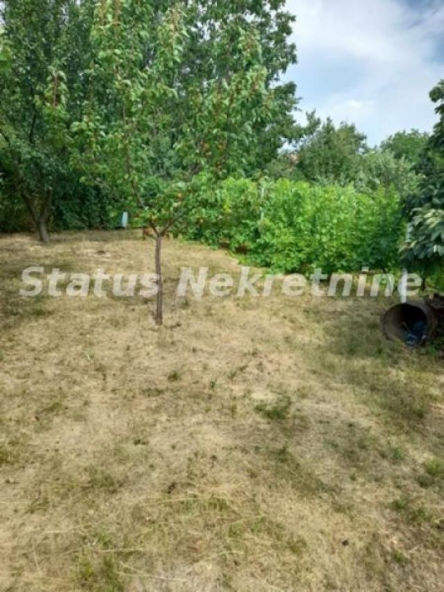 Čortanovci-Uknjižen Građevinski Plac 1100 m2 sa Vinogradom za Uživanje-065/385 8880