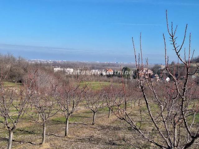 Beočin-Velika Parcela 7500m2 iznad Centra sa Pogledom na Novi Sad-065/385 8880