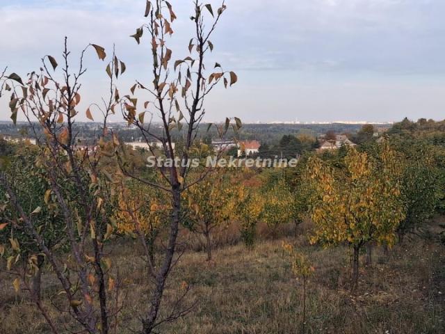Beočin-Velika Parcela 7500m2 iznad Centra sa Pogledom na Novi Sad-065/385 8880