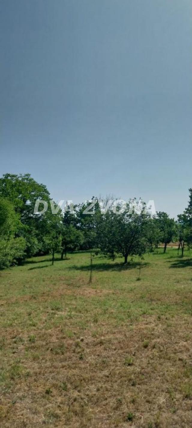 Na prodaju – vikendica sa placem u Čortanovcima (38 m² + garaža, plac 13 ari)