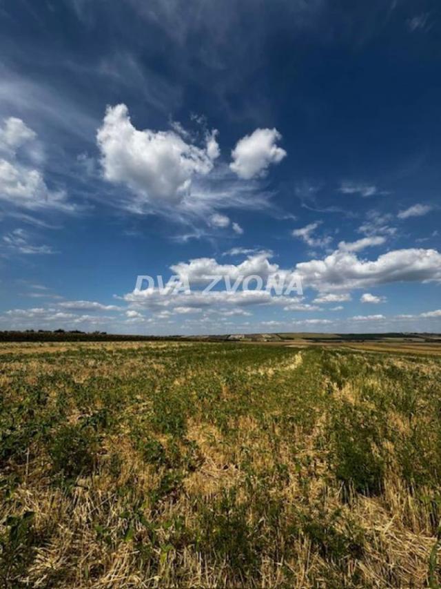 PRODAJA POLJOPRIVREDNOG ZEMLJIŠTA – ČORTANOVCI, 11.510 m² ( 2 jutra)