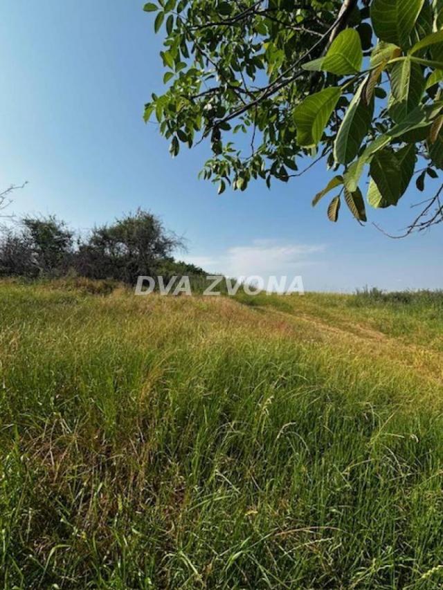 Placevi na prodaju-Čortanovci-Beli Vrh