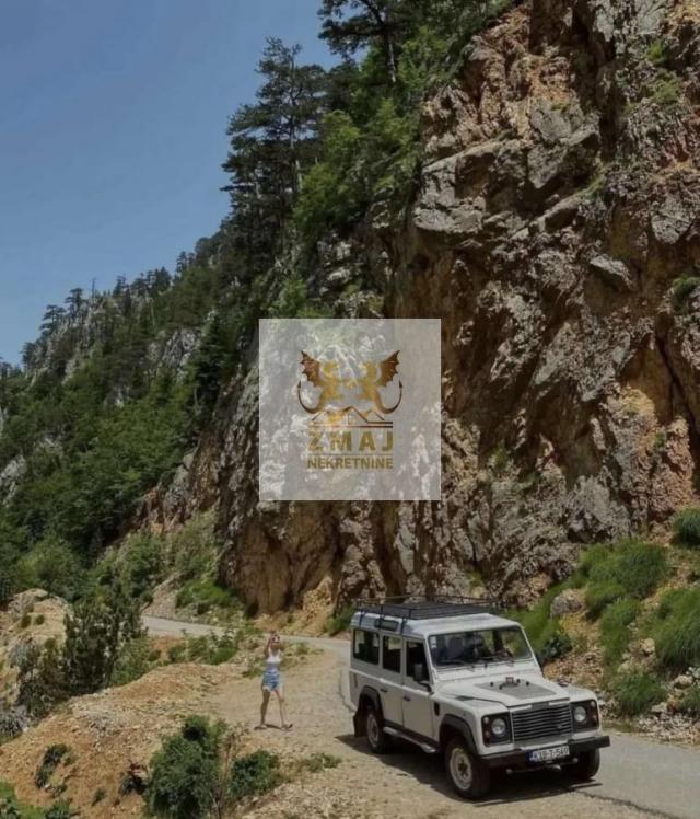 PRELEP KAMP NA TARI, NETAKNUTA PRIRODA, OPREMLJENI APARTMANI!