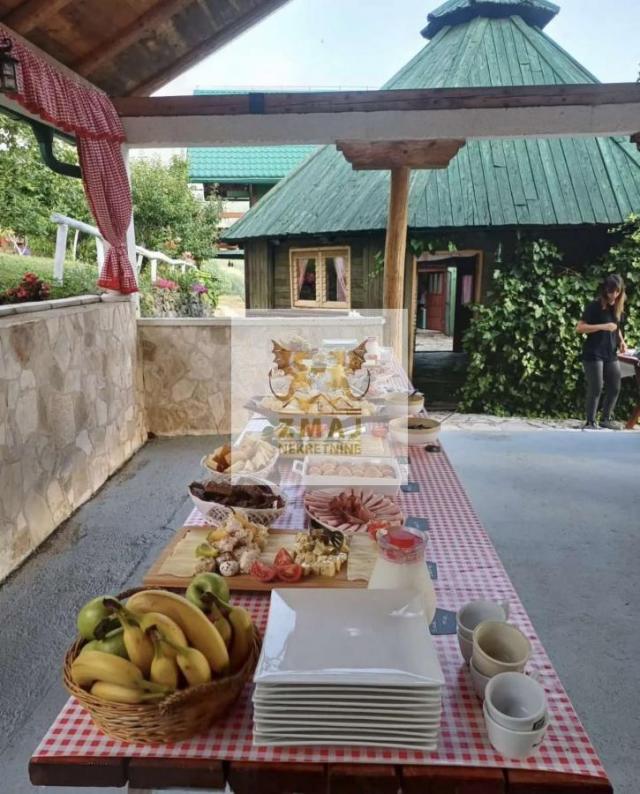 PRELEP KAMP NA TARI, NETAKNUTA PRIRODA, OPREMLJENI APARTMANI!
