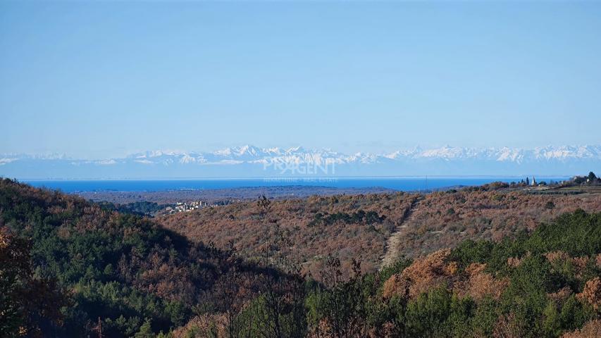 ISTRA, GROŽNJAN, GRAĐEVINSKO ZEMLJIŠTE, PRODAJE SE