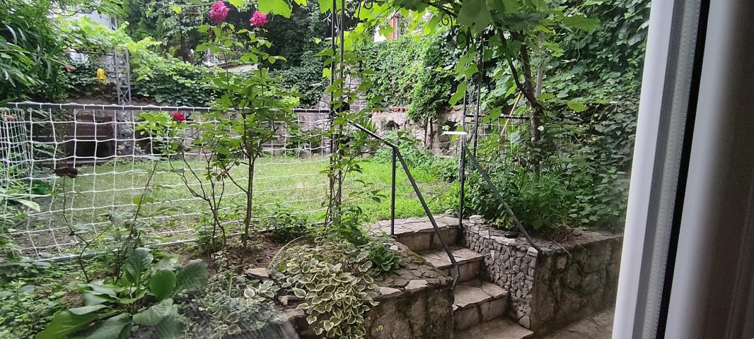 Neimar, luksuzna kuća sa baštom, prazna ili nameštena, po želji .. 
