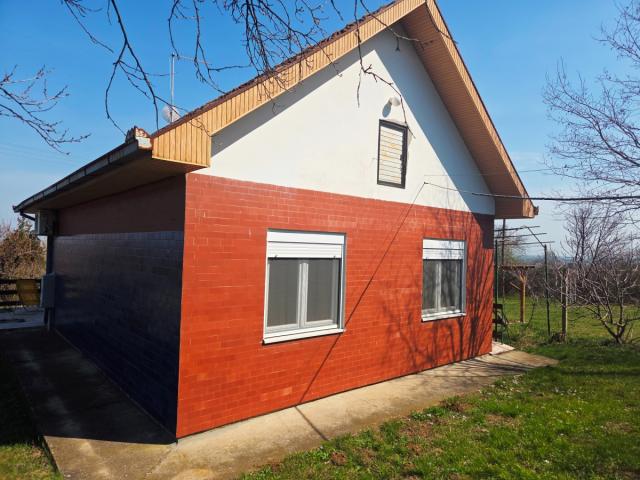 VIKENDICA U STAROM SLANKAMENU, POGLED NA DUNAV
