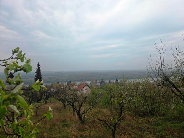 VIKENDICA U STAROM SLANKAMENU, POGLED NA DUNAV