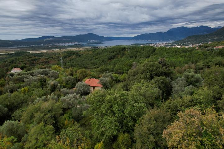 Plot in Kavac