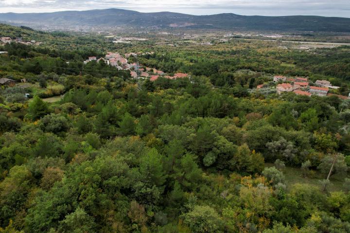 Plot in Kavac
