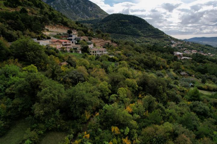 Plot in Kavac