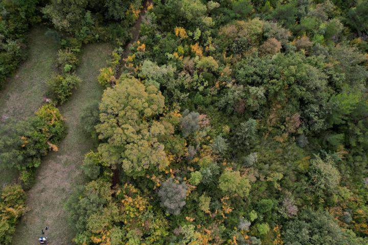 Plot in Kavac