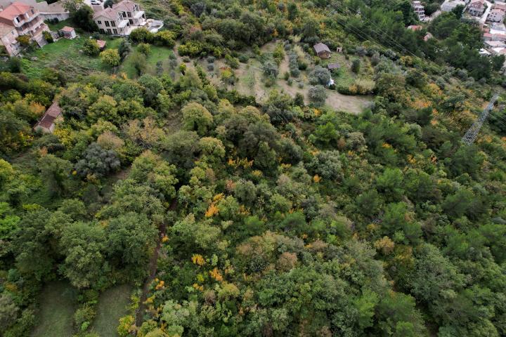 Plot in Kavac