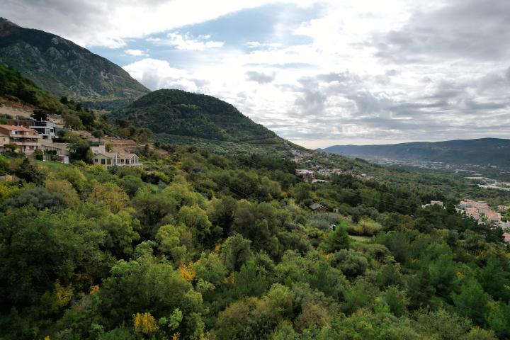 Plot in Kavac