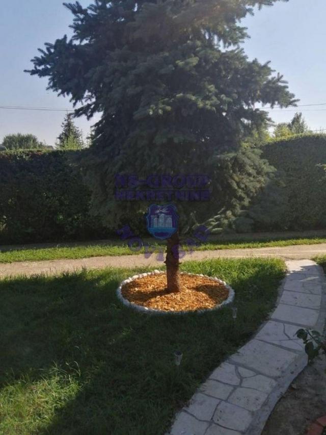 Fantastična porodična kuća!