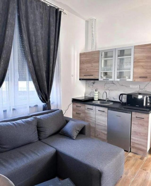 EKSKLUZIVNA PRODAJA-polovina vile sa 2 apartmana u centru Mataruške Banje
