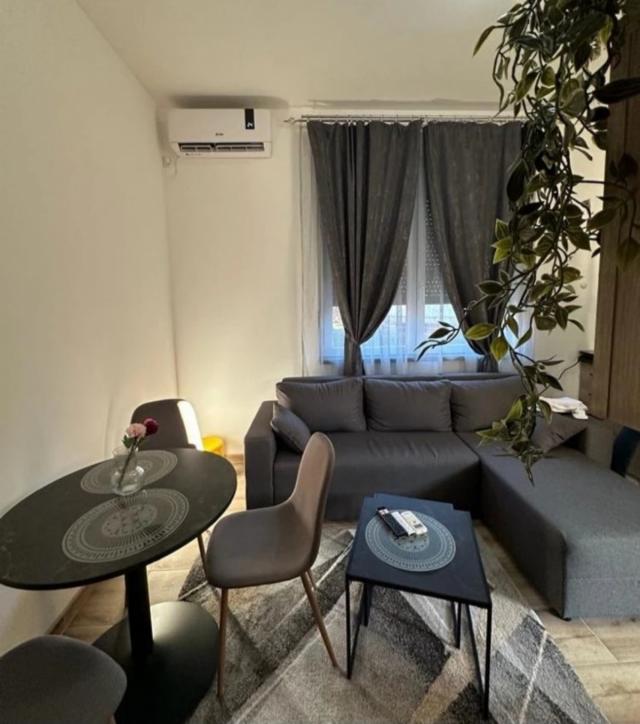 EKSKLUZIVNA PRODAJA-polovina vile sa 2 apartmana u centru Mataruške Banje