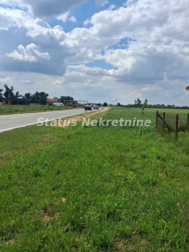 Futog-Uknjižena kuća 118 m2 na Velikom Placu 4770 m2 za Poslovanje i Biznis-065/385 8880