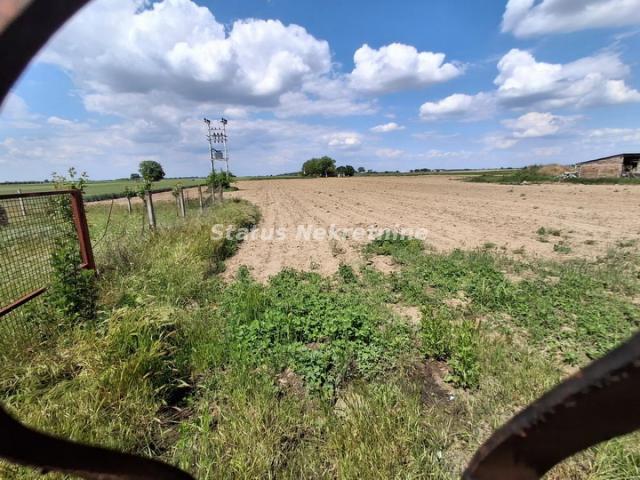 Futog-Uknjižena kuća 118 m2 na Velikom Placu 4770 m2 za Poslovanje i Biznis-065/385 8880
