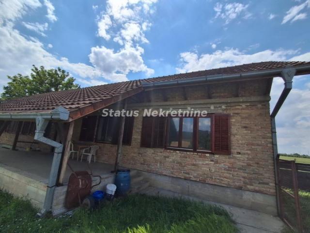 Futog-Uknjižena kuća 118 m2 na Velikom Placu 4770 m2 za Poslovanje i Biznis-065/385 8880