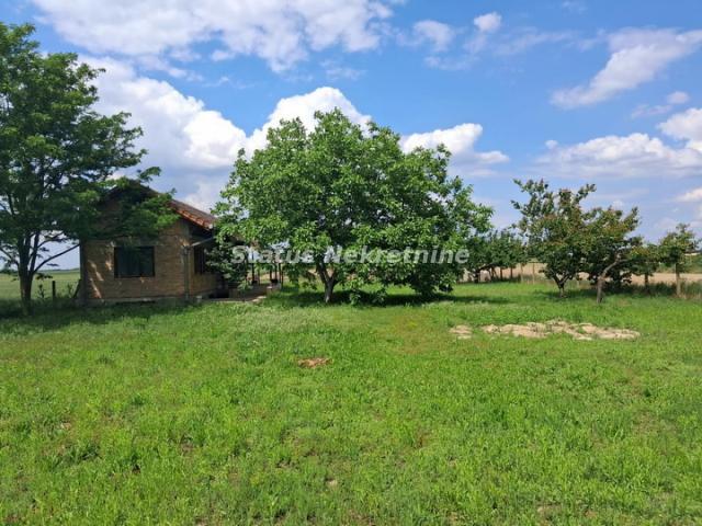 Futog-Uknjižena kuća 118 m2 na Velikom Placu 4770 m2 za Poslovanje i Biznis-065/385 8880