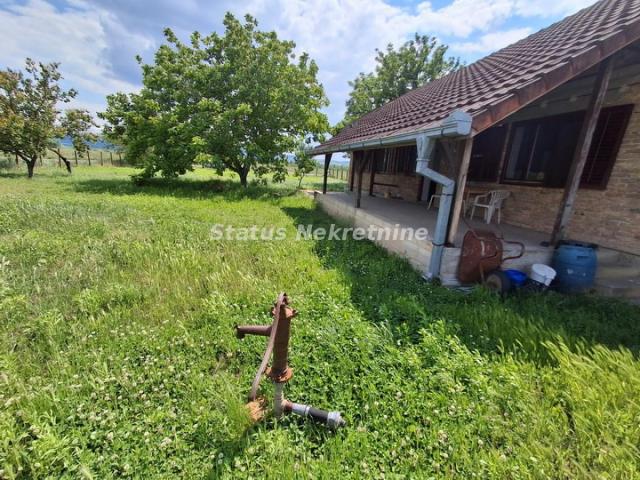 Futog-Uknjižena kuća 118 m2 na Velikom Placu 4770 m2 za Poslovanje i Biznis-065/385 8880