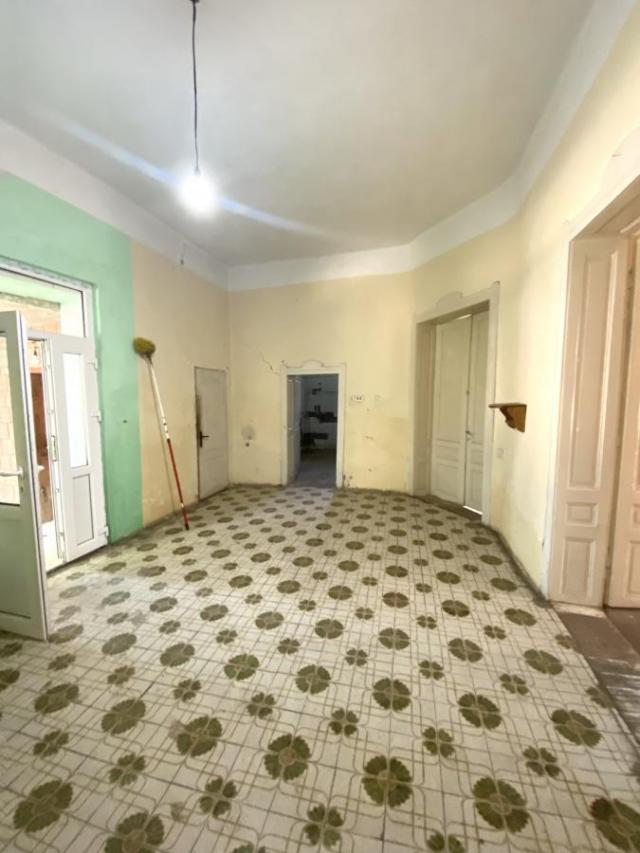 Uzdin salonska kuća na prodaju
