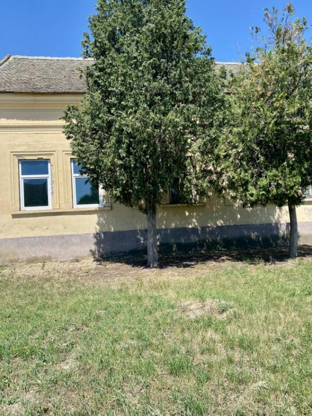 Uzdin salonska kuća na prodaju