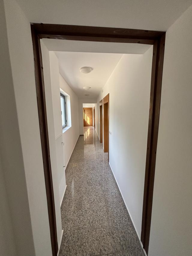 Studio 300 metara od mora Kamenovo (Budva) 